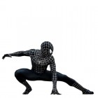 Black Spiderman Superhero Costume